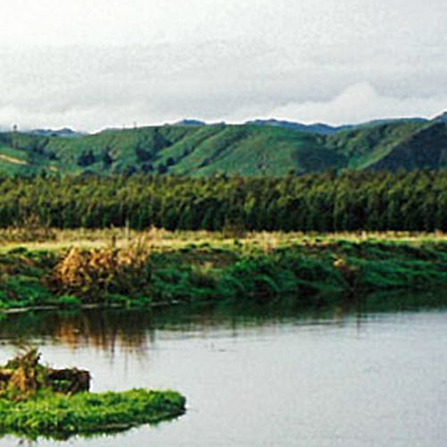 https://www.parklink.nz/wp-content/uploads/2024/08/parklink-industrial-meat-processing-anaerobic-plant-feature.jpg