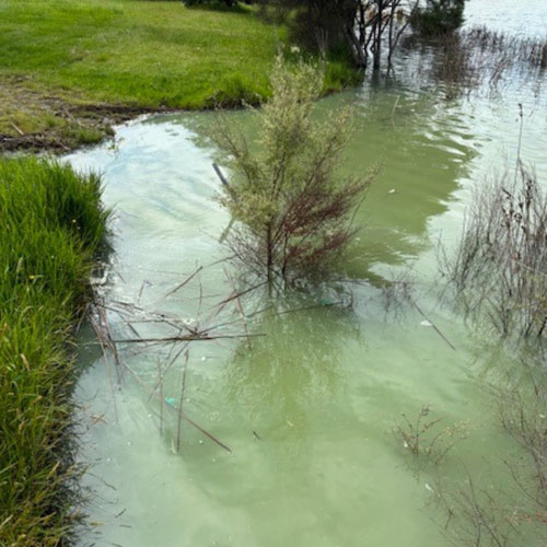https://www.parklink.nz/wp-content/uploads/2024/09/lake-kereta.jpg